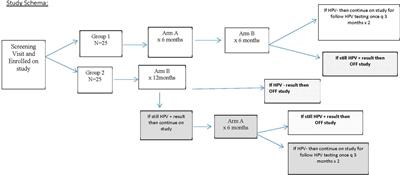 AHCC® Supplementation to Support Immune Function to Clear Persistent Human Papillomavirus Infections